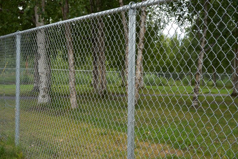 Chain Link Fence Around a Yard